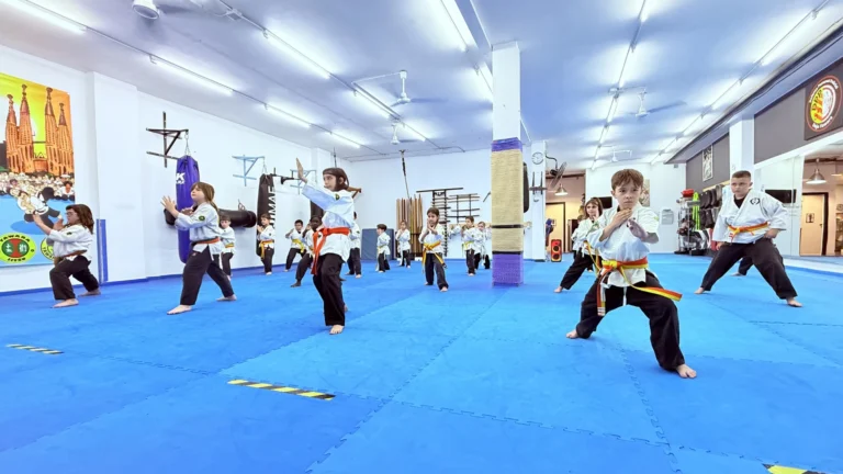 artes-marciales-terrassa_1