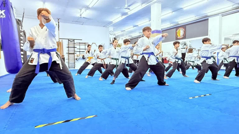 artes-marciales-terrassa_6