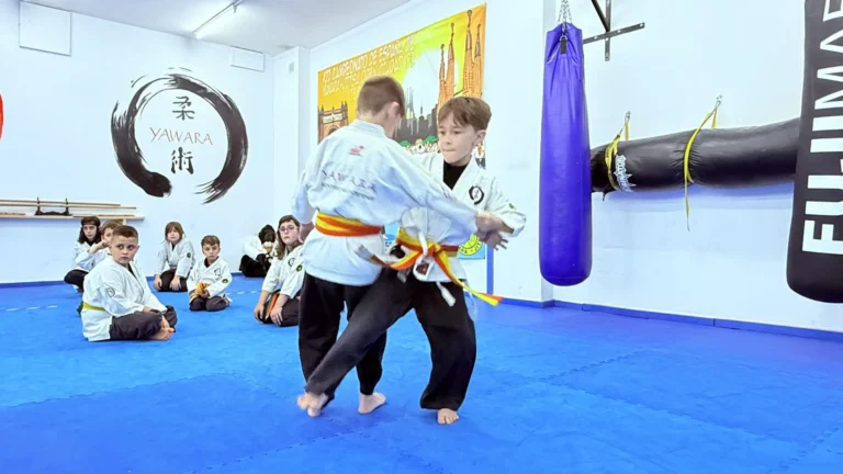 artes-marciales-terrassa_7