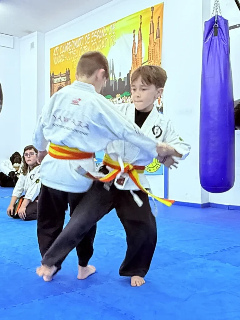 artes-marciales-terrassa_7