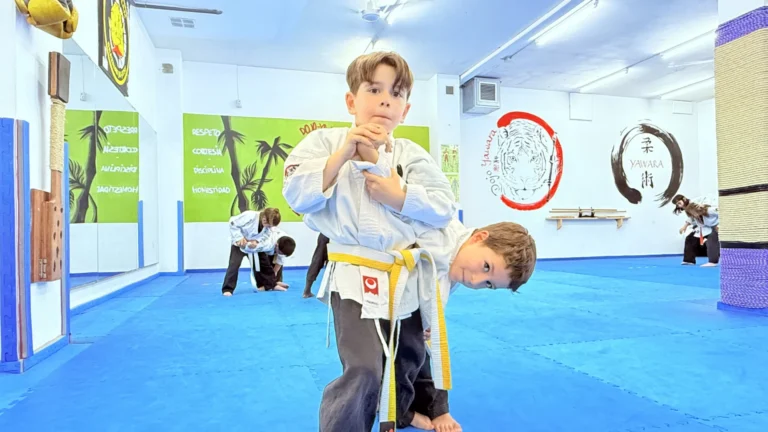 artes-marciales-terrassa_9