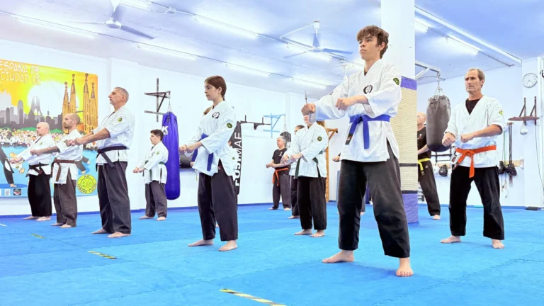 brasilian-jiujitsu-terrassa-bjj_10