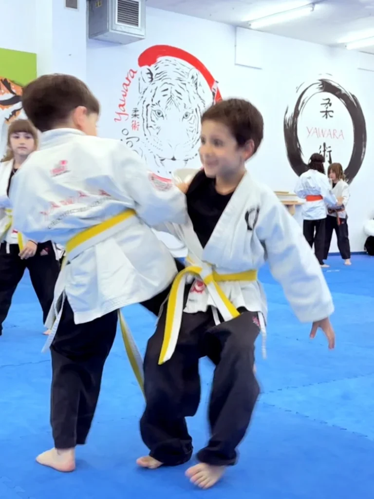 brasilian-jiujitsu-terrassa-bjj_9