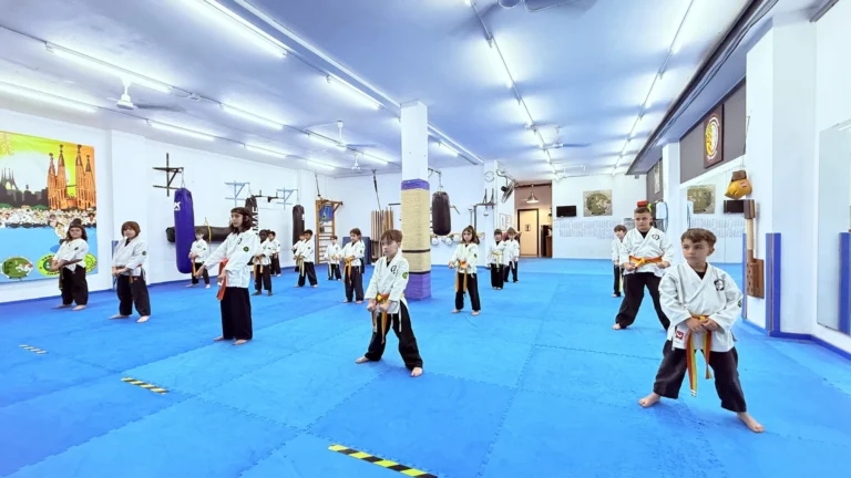 defensa-personal-policial-terrassa_17